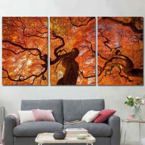 Tree Canopy HD Canvas Prints Layout-Three Panels Regular