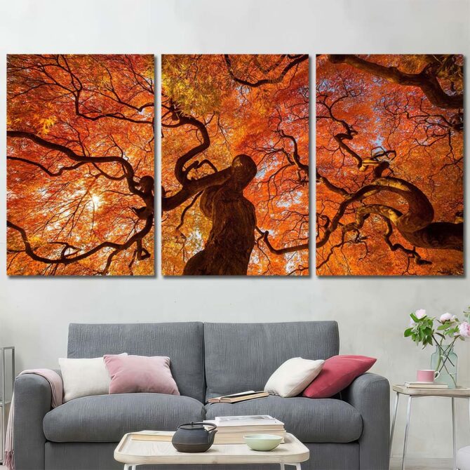 Tree Canopy HD Canvas Prints Layout-Three Panels Regular